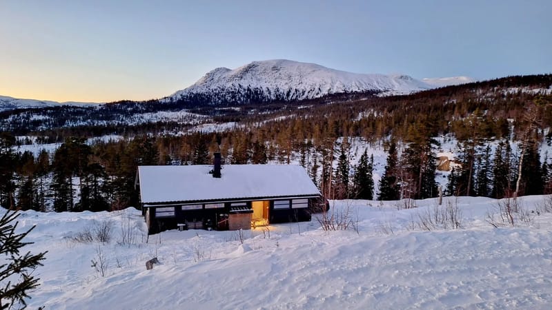 Sveheim Hytte På Sørbølfjellet I Flå (55)