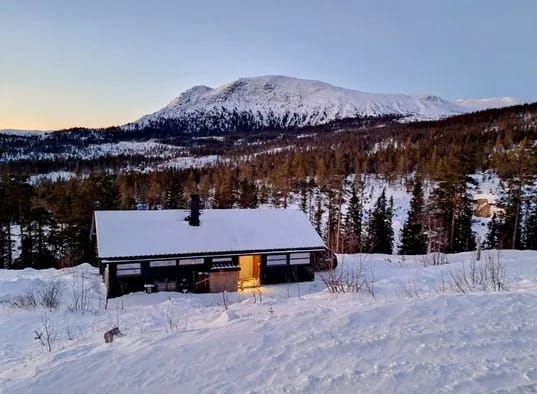 Sveheim Hytte På Sørbølfjellet I Flå (55)