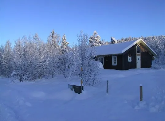 A dark cabin sits among snow-covered trees in a winter landscape.