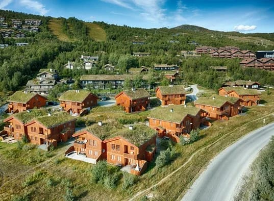 Grønebakkin Ute 1
