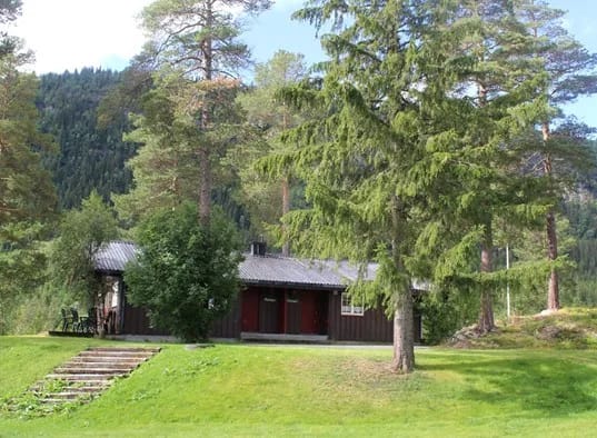 0619006-7.jpg