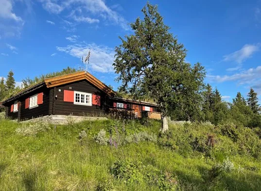 A dark wooden building sits on a grassy hillside beneath a blue sky.