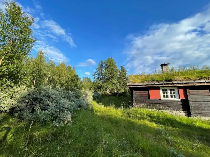 Elveseter I Rondane (23)