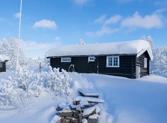 Maurtua Vinter AI