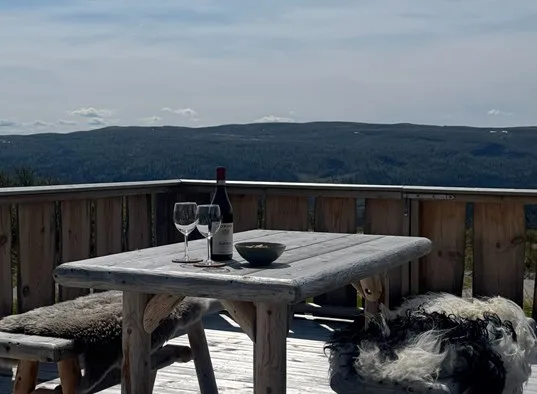 Annebu Hytte I Ål I Hallingdal (10) (1)