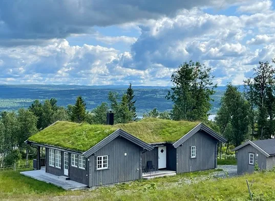 Bergestua 1