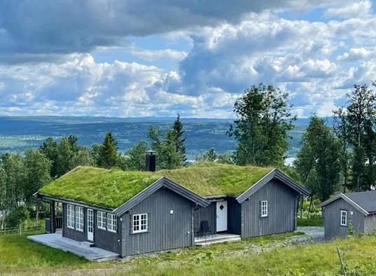 Bergestua 1
