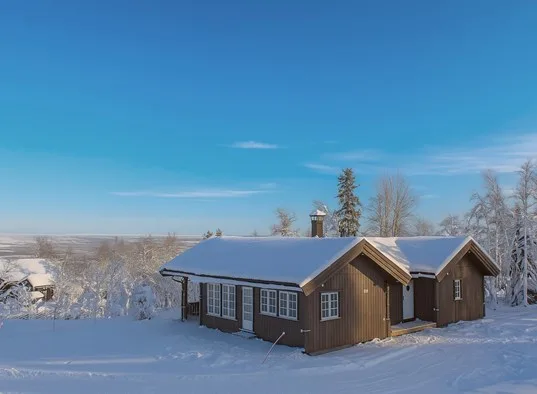 Bergestua Vinter AI