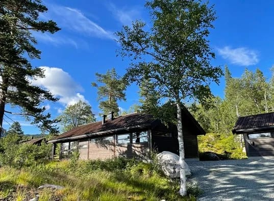 Tiurhytta På Sørbølfjell, Flå (16)