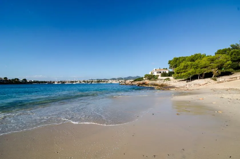 A sandy beach meets clear blue water beneath a cloudless sky.