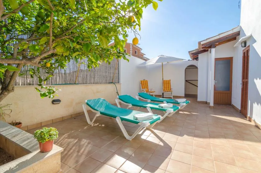 A sunny tiled patio with teal lounge chairs and leafy shade.