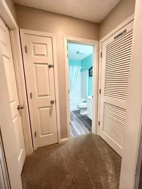 A carpeted hallway opens onto a bathroom with a shower curtain and toilet.