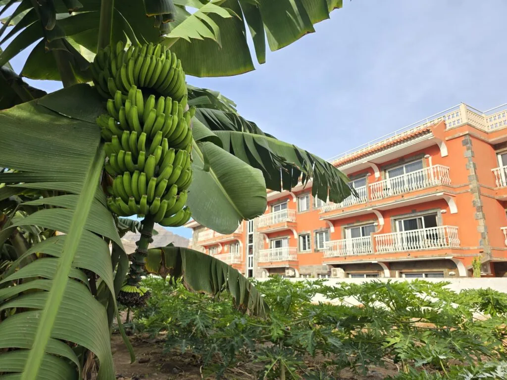 Huerto ecológico del hotel