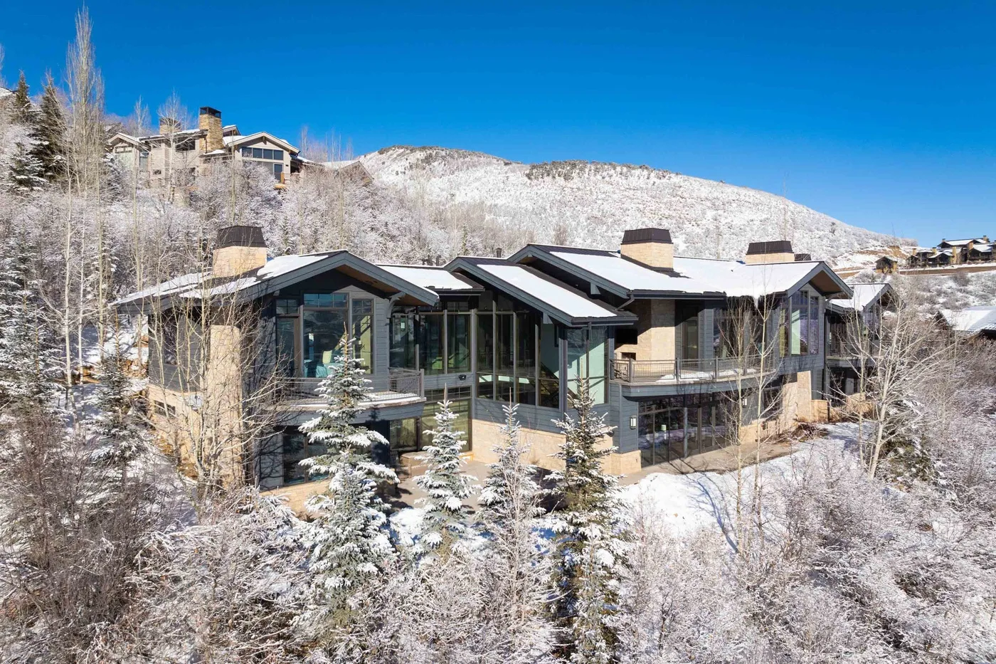 A modern house sits among snow-covered trees with a mountain behind it.
