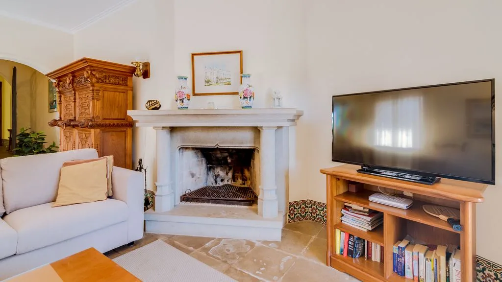 A living room with seating, a fireplace, and a television.