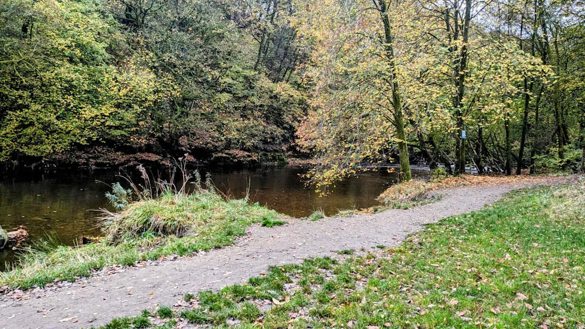 A wooded riverside path curves beside the water and grassy bank.