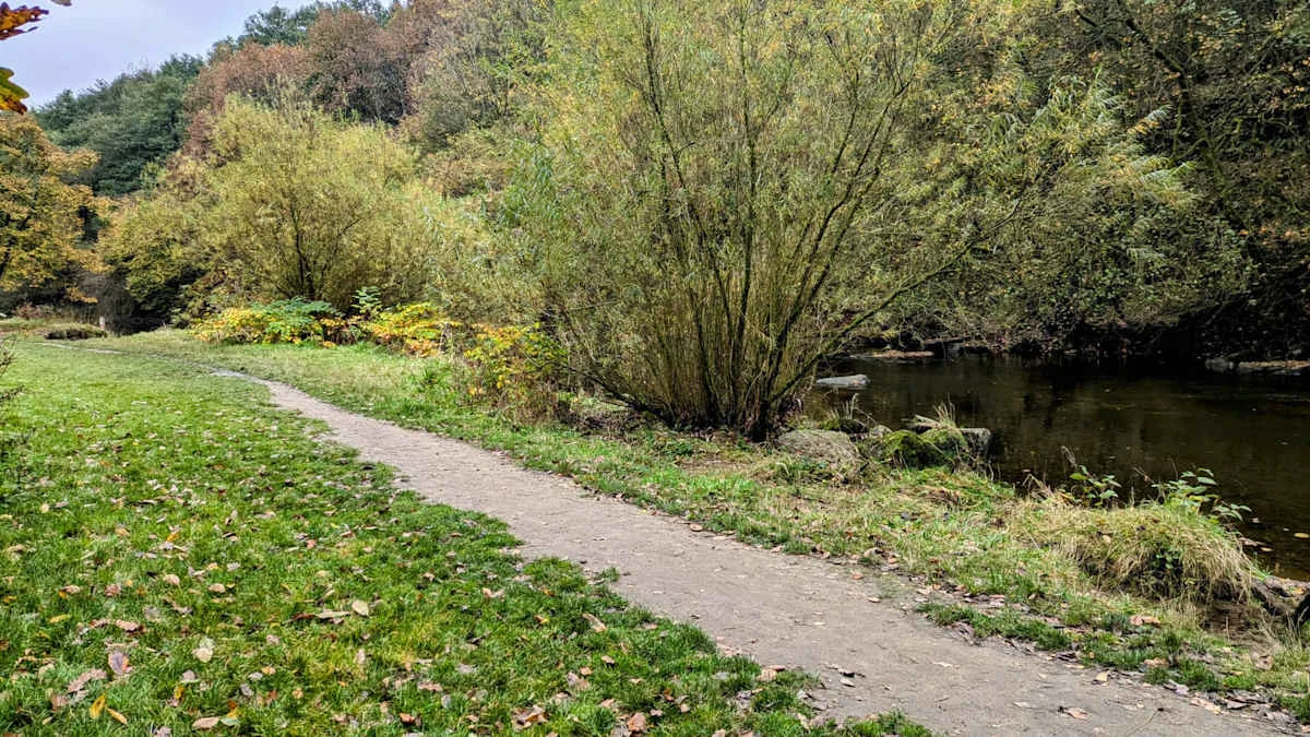 A curving path runs beside a grassy riverbank beneath leafy trees.