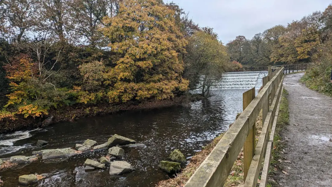 A riverside path follows a low weir beneath autumn-colored trees.