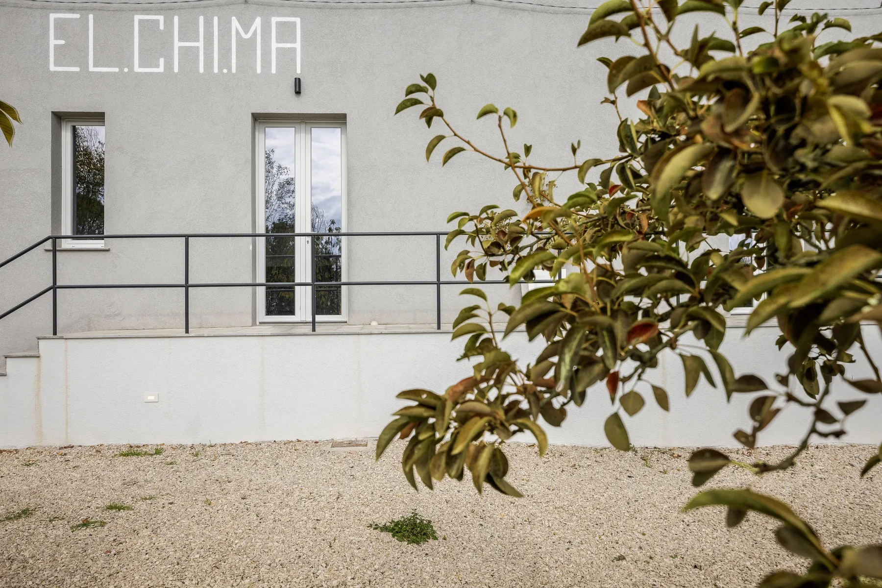 Fachada de un edificio moderno con ventanas altas, una barandilla y un árbol frondoso delante.