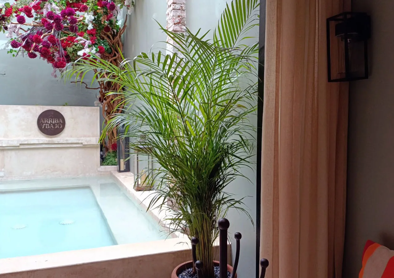 A small pool beside a potted palm and flowering plants.