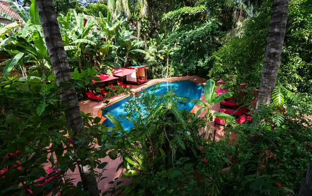 Tropical swimming pool