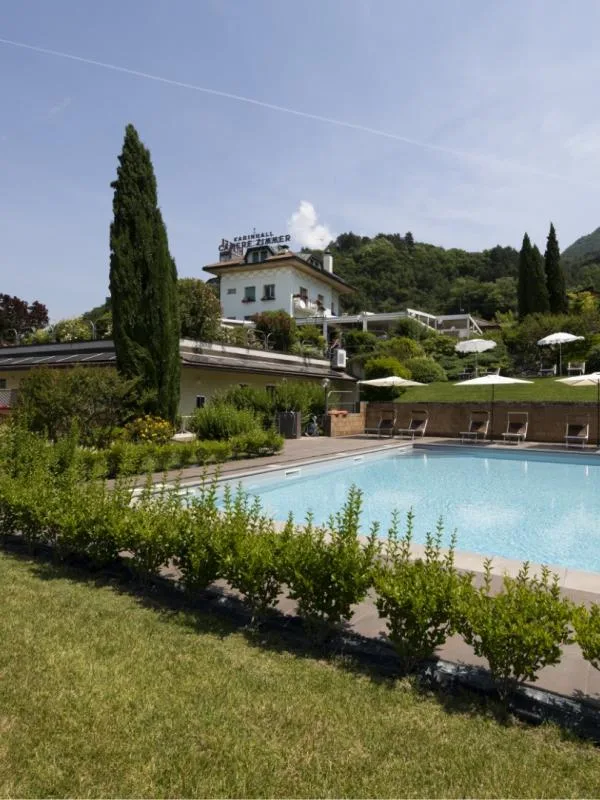 Swimming pool and garden