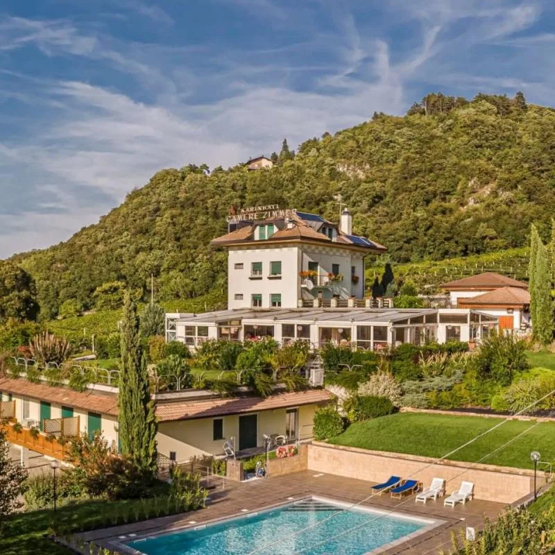 Swimming pool and garden