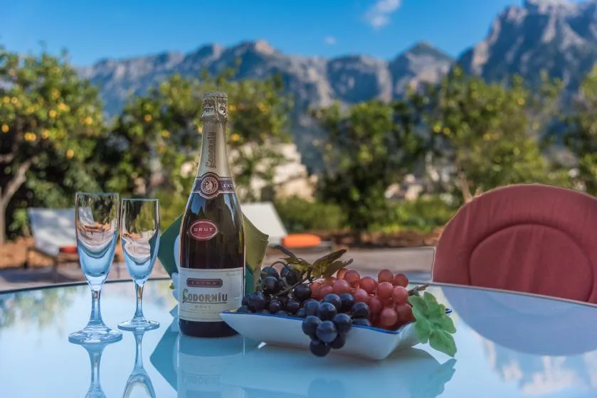 A table outdoors displays a bottle, glasses, and fruit against a mountain view.