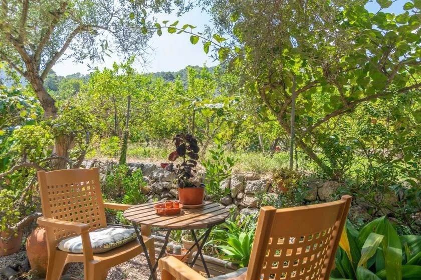 A garden seating area with a wooden table beneath leafy trees.