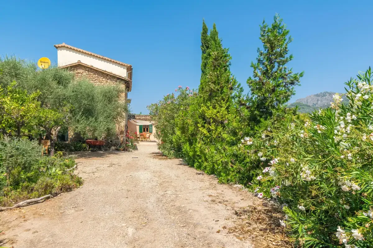 A garden path leads toward a house, bordered by trees and flowering shrubs.