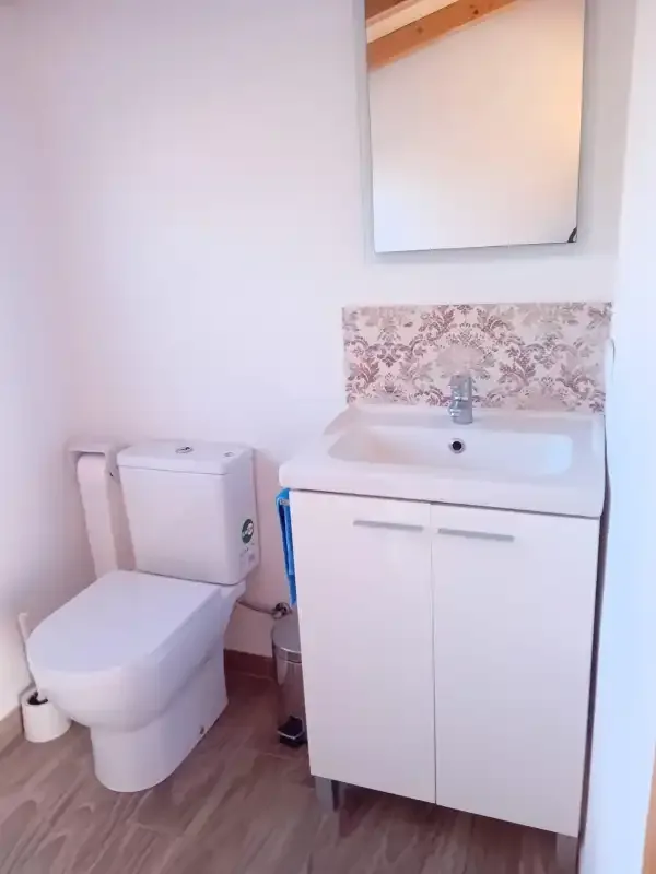 A bathroom with a toilet, sink, and wall mirror.