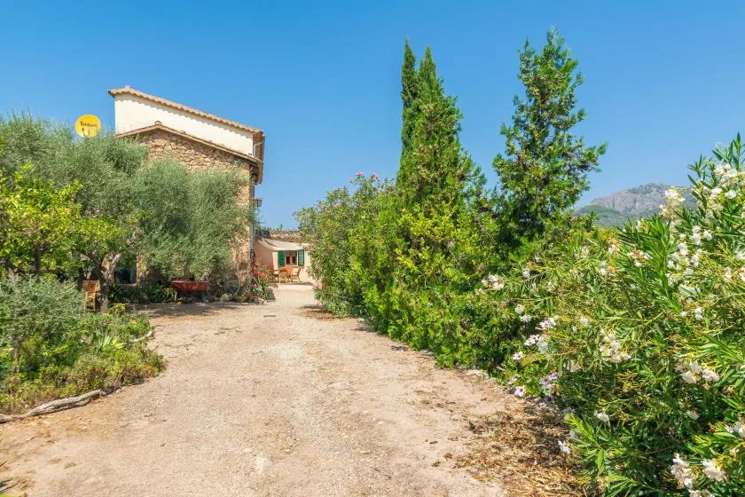 A dirt path winds through a garden toward a house beneath a clear blue sky.