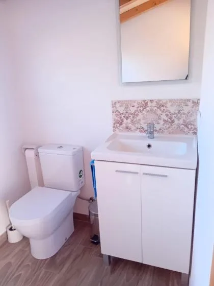 A compact bathroom with a toilet and a sink vanity beneath a mirror.
