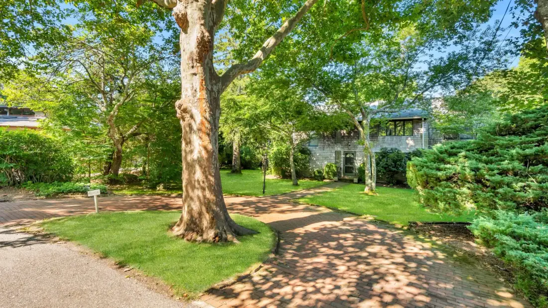 A leafy garden surrounds a large tree beside a paved path and house.