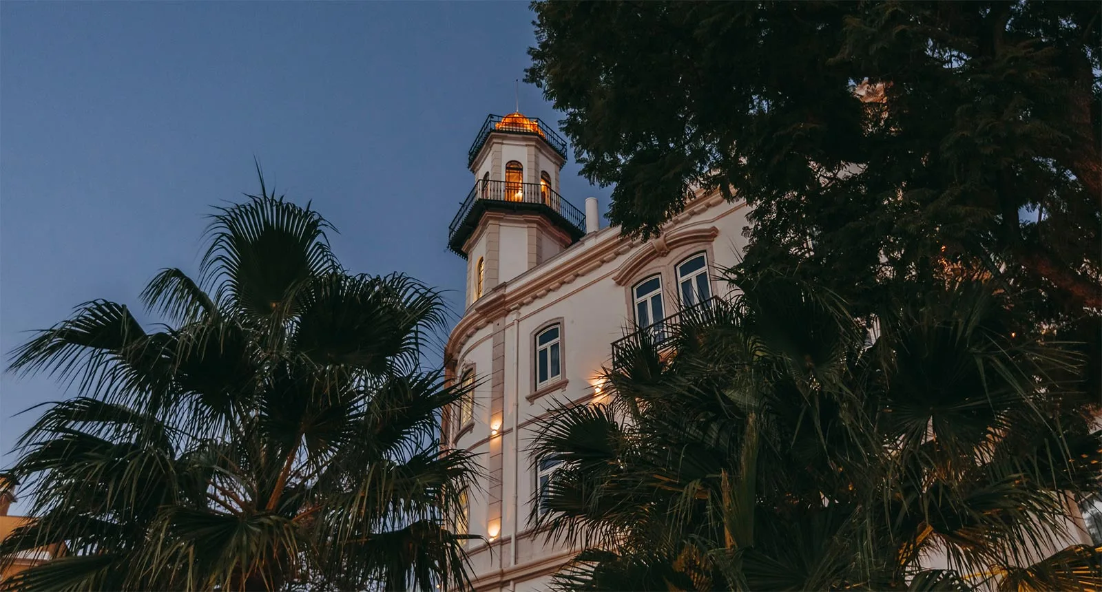 Edificio histórico con torre detrás de árboles a contraluz al anochecer