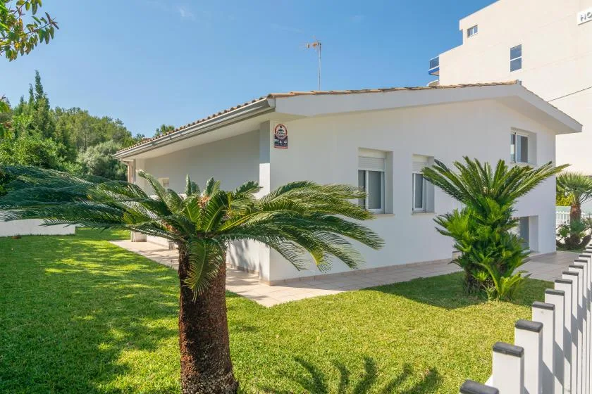 Un edificio blanco de una planta está junto a un césped verde con palmeras.