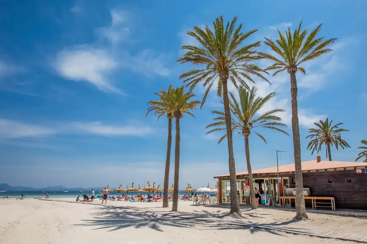 Una playa de arena con palmeras y un restaurante frente al mar bajo un cielo azul.
