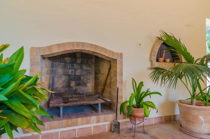 A brick fireplace stands between leafy potted plants in a bright indoor space.