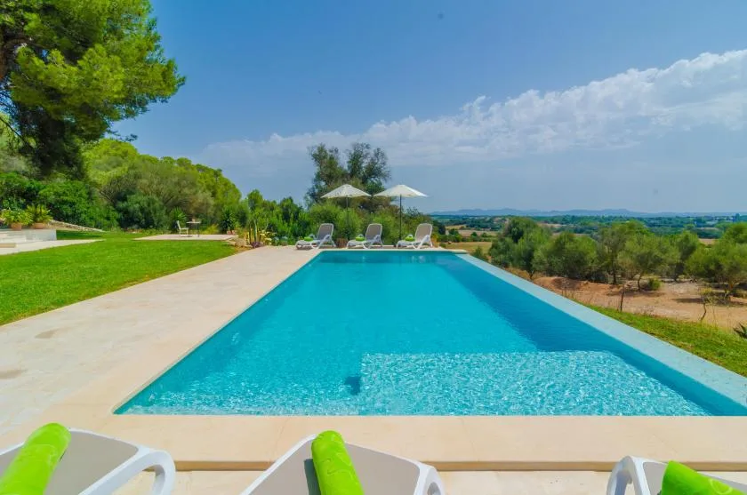 Outdoor swimming pool bordered by a pale stone deck and green landscaping.