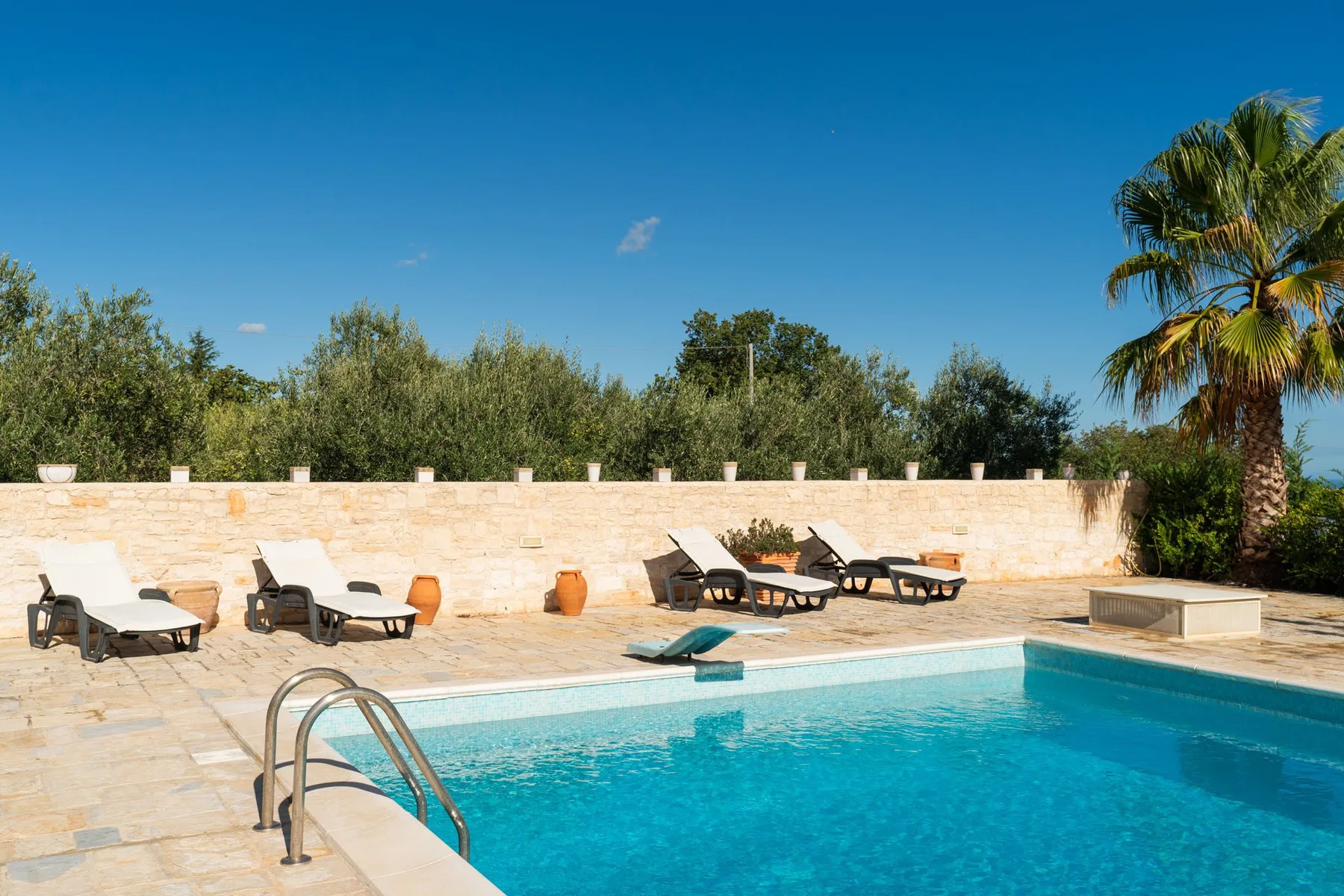 Una piscina al aire libre está junto a una zona pavimentada para tomar el sol y una palmera.