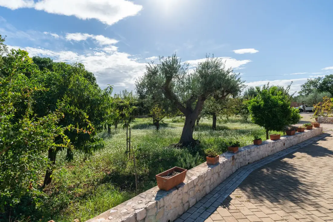 Un jardín exterior con árboles y plantas en macetas junto a un sendero pavimentado.