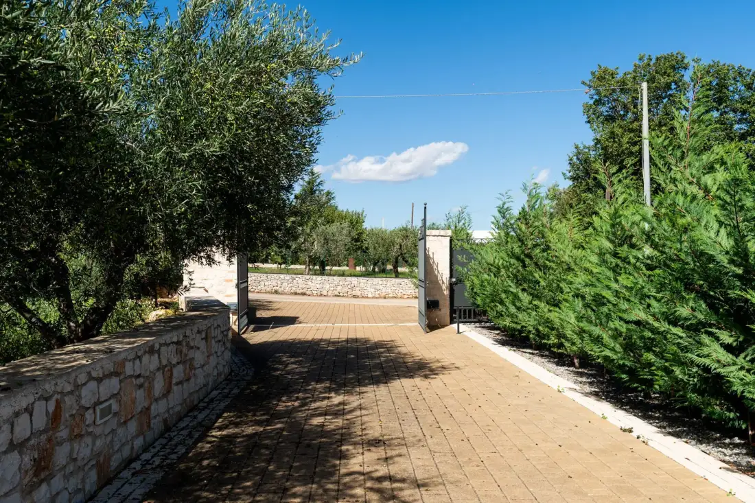 Un camino pavimentado atraviesa una puerta abierta entre árboles y setos.