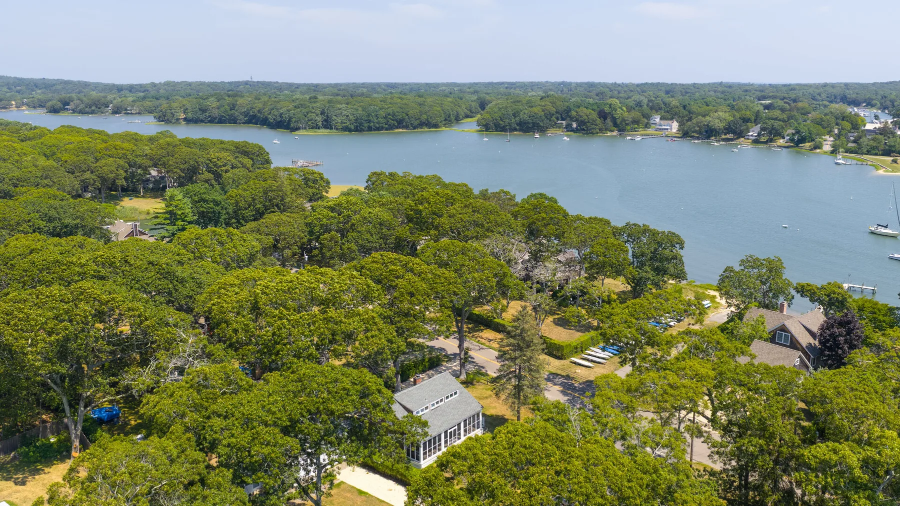 Aerial view of a tree-covered shoreline beside a broad body of water.