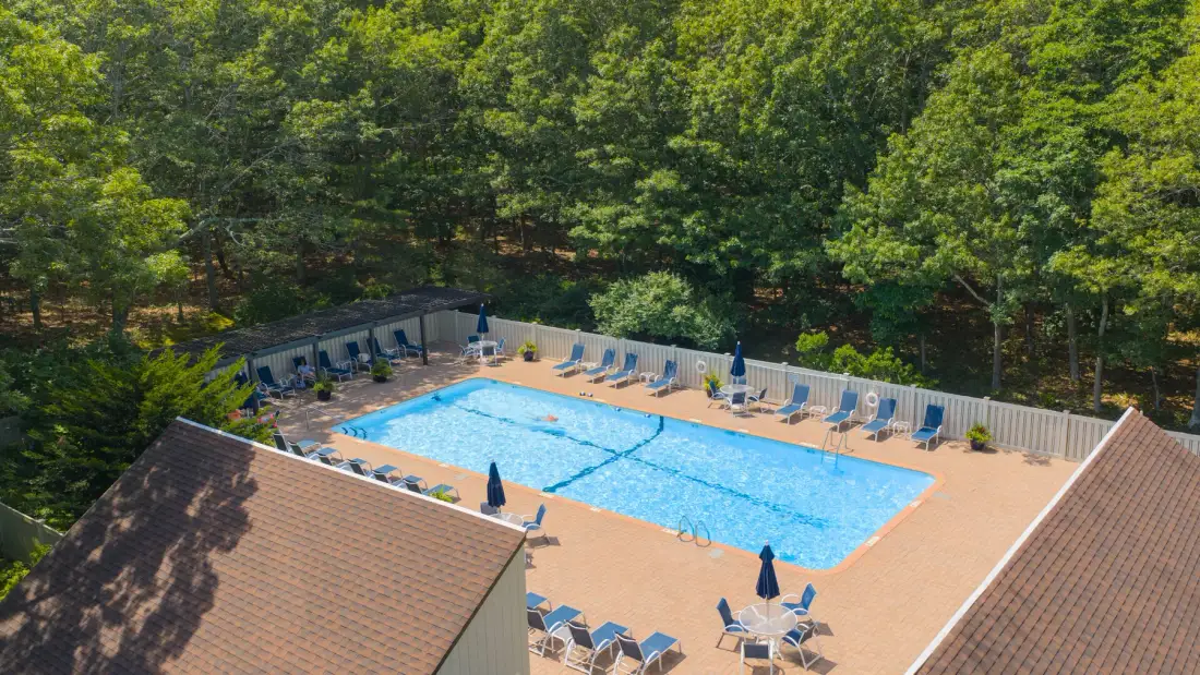 Una piscina al aire libre está rodeada por una terraza pavimentada y árboles frondosos.