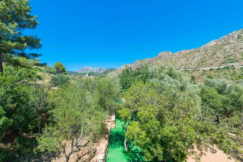 A wooded outdoor landscape with a green path running through the trees.