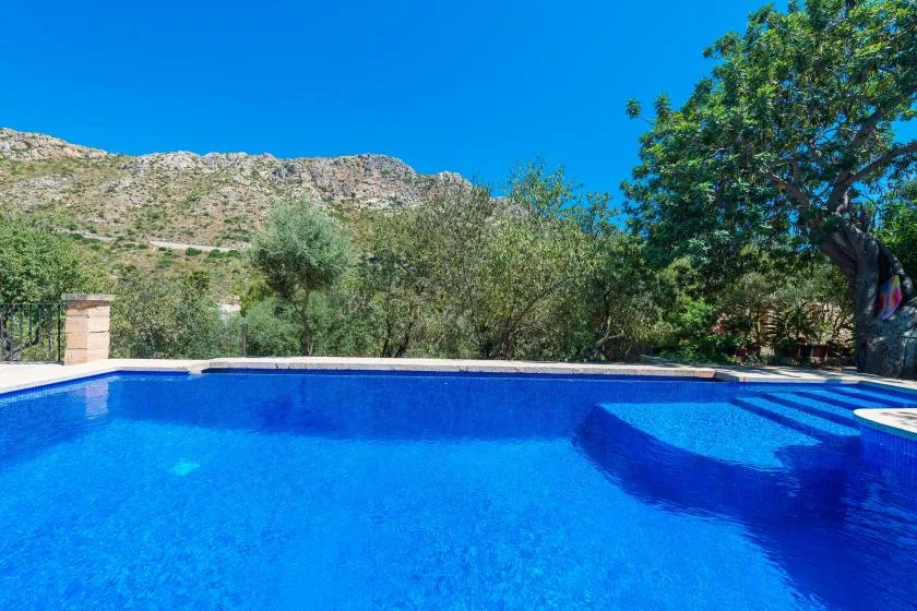 An outdoor swimming pool sits beneath a clear blue sky, with trees and hills beyond.