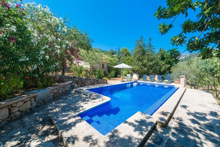An outdoor swimming pool bordered by a stone wall and leafy trees.