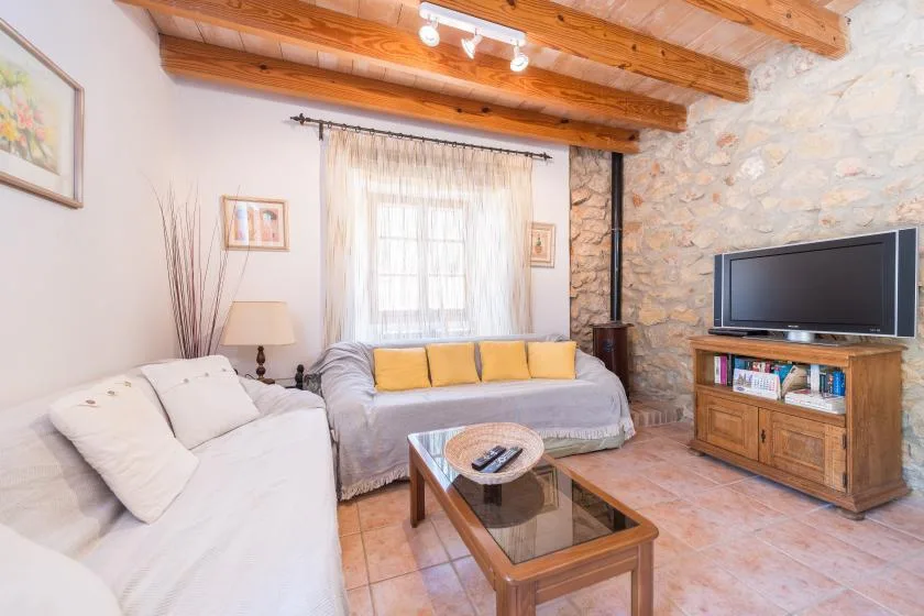 A living room with sofas, a coffee table, and a television.