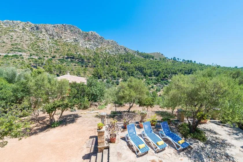 Outdoor seating with blue lounge chairs overlooks a tree-covered hillside.