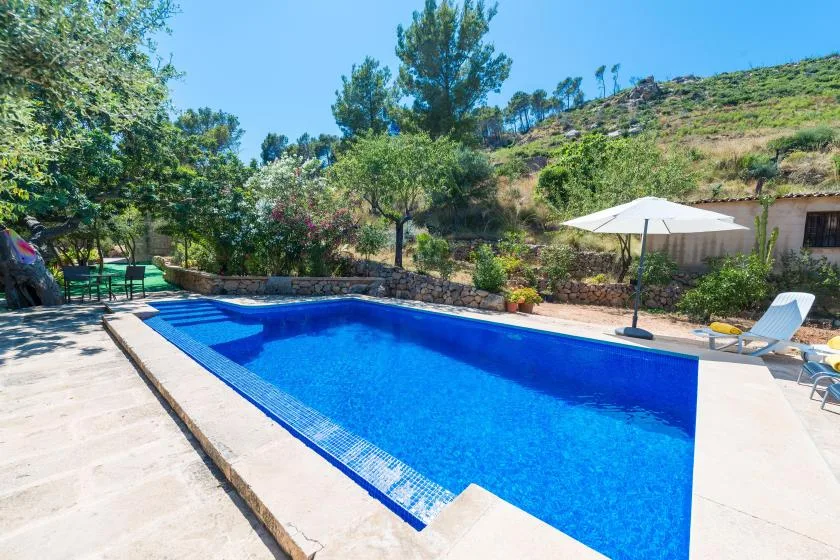 An outdoor swimming pool beside a patio, with a white parasol and surrounding greenery.
